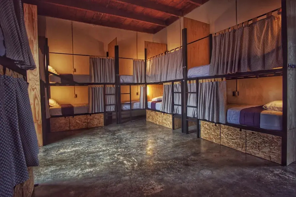Lemon Tree Hostel