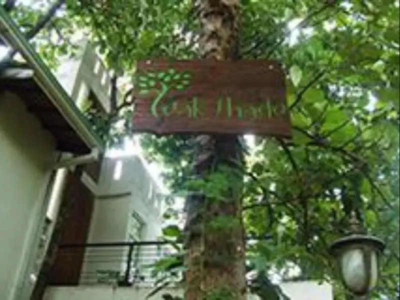 The Teak Shade