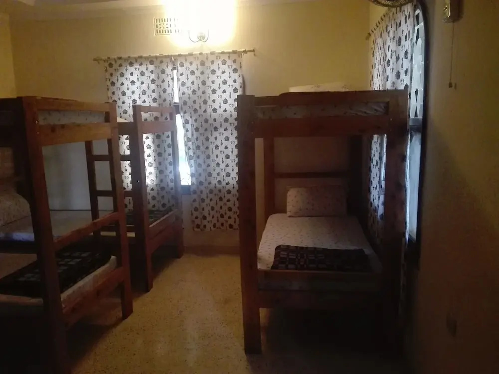 The Paradise In Backpackers