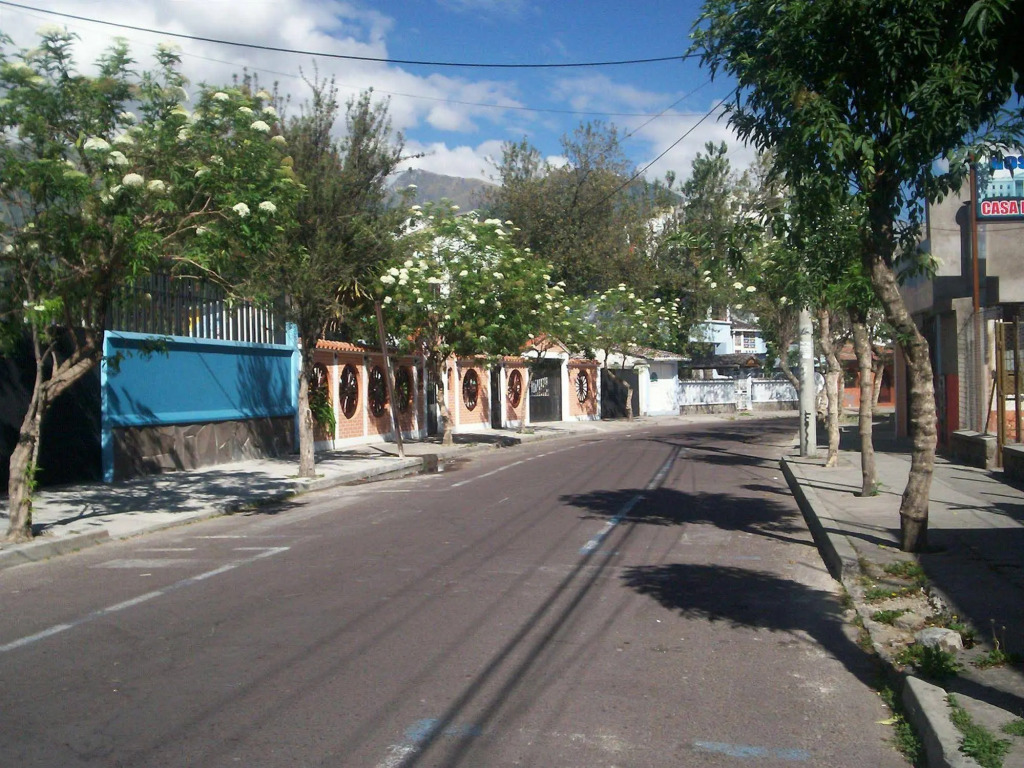 Hostal White House