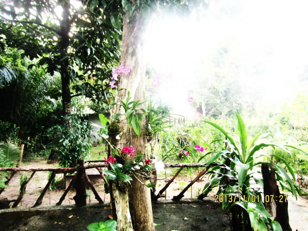 Payang Bungalow