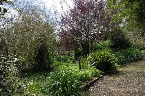 Quince Cottage