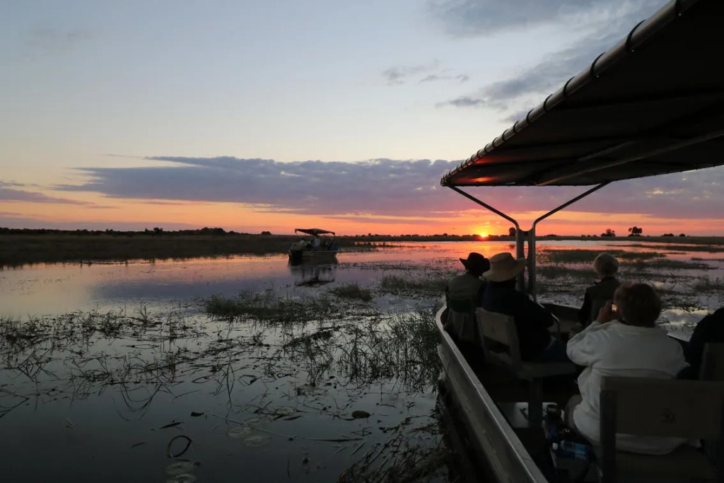 Chobe Princesses By Mantis