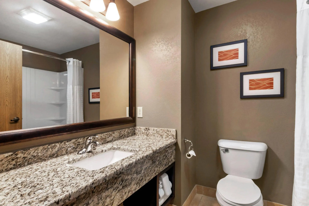 Comfort Inn Macon