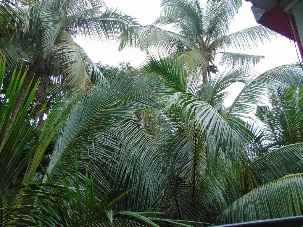 Oceanic Beach Guest House