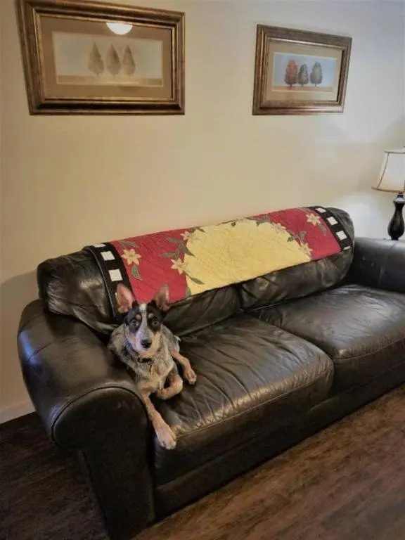Cheap East Knoxville Basement Studio