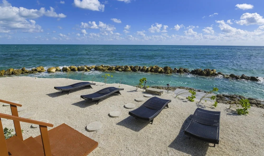 Friendsgiving Island