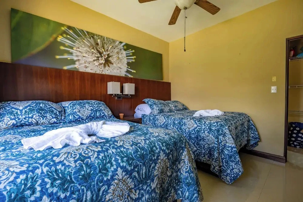 Jaco Sol Quad Plex