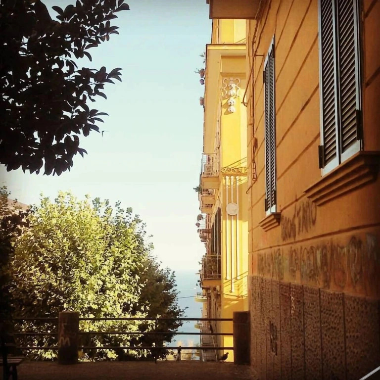 At Home Lettieri
