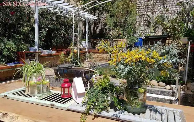 Six Six Garden - Rose Koi Homestay Dalat