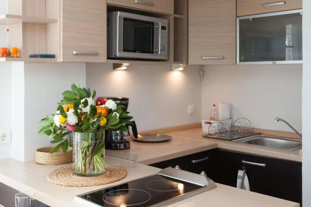 Homz AH02 Kolonaki Penthouse Studio