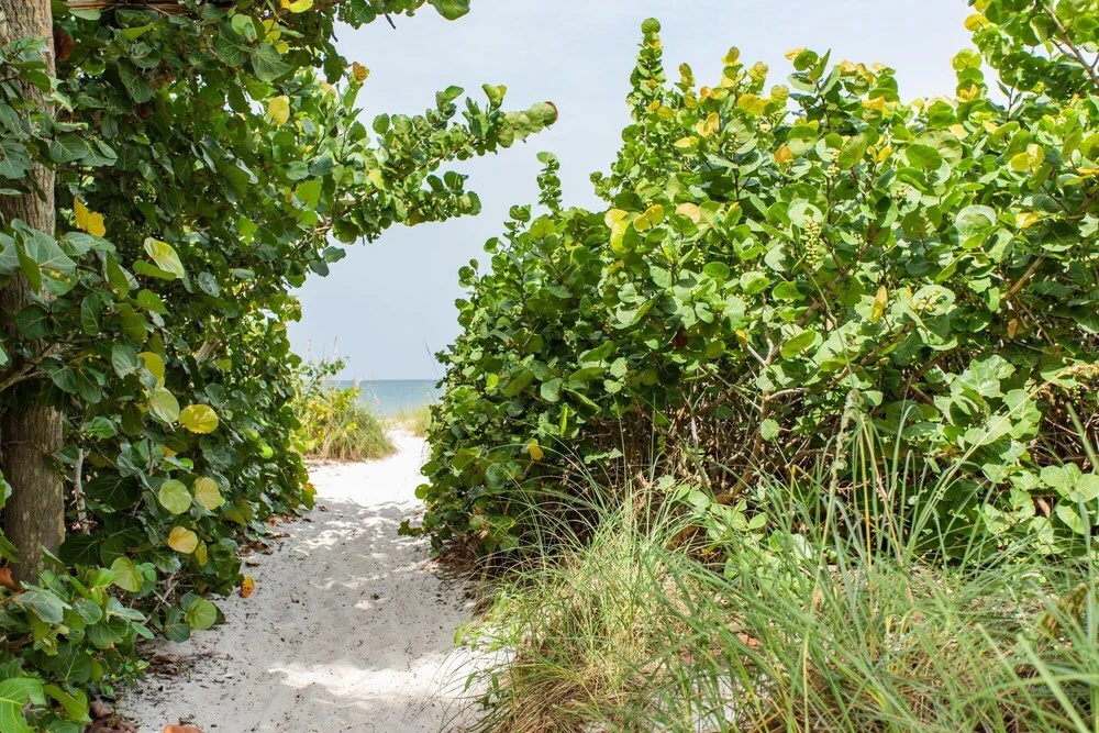 Pesaro - stylish 3BR retreat near Via Miramar Beach, beautifully renovated home with a private pool, lush tropical gardens and premium modern comforts, perfect for families and relaxing getaways, just minutes from sandy beaches and vibrant downtown Naples