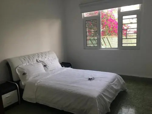 Cacique 2260