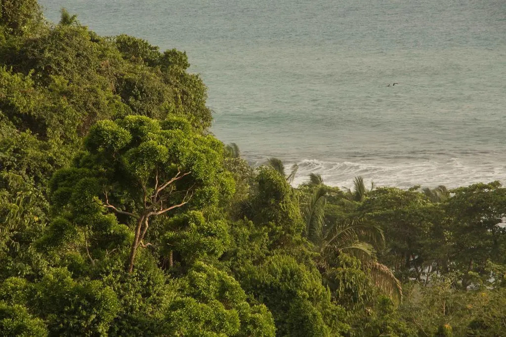 Finca Exotica Eco Lodge