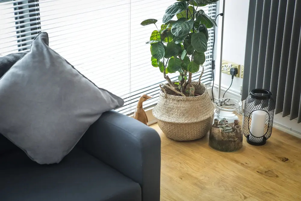 Stay Inn Apartments Bloomsbury