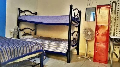 Ocote Hostal