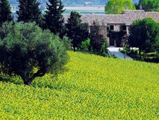Agriturismo di Charme Ripabianca