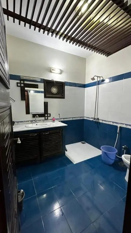 Mirza house
