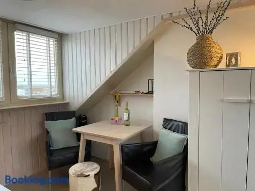 Studio Zuid 5