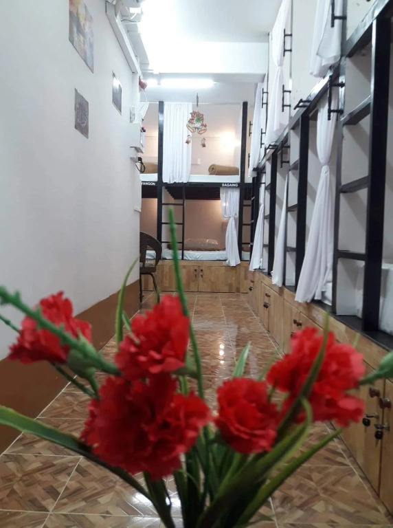 Hostel Wizaya for backpacker