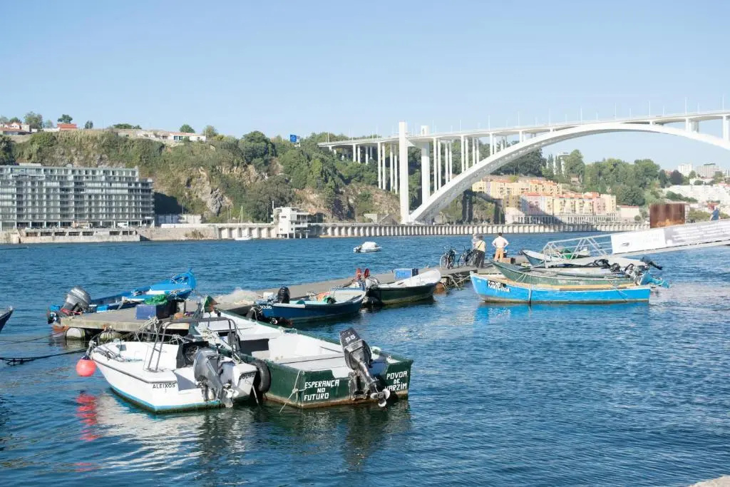Merc Porto Santa Catarina