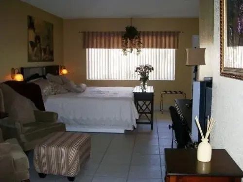 The Big Coconut Guesthouse - Gay Mens Resort
