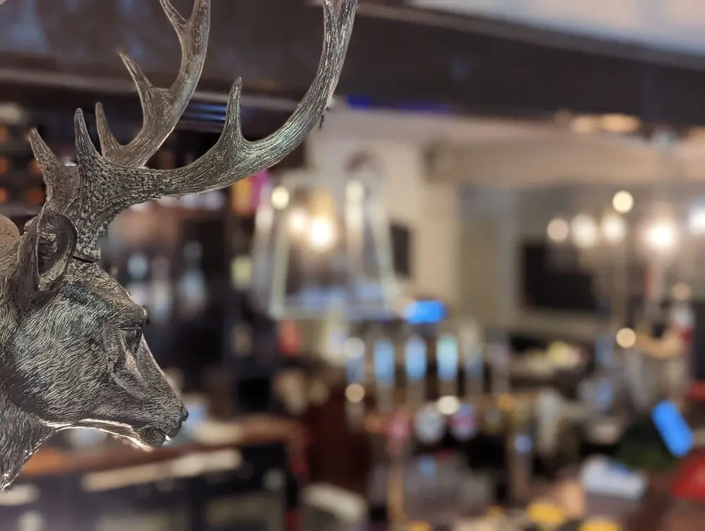 The Buck Hotel