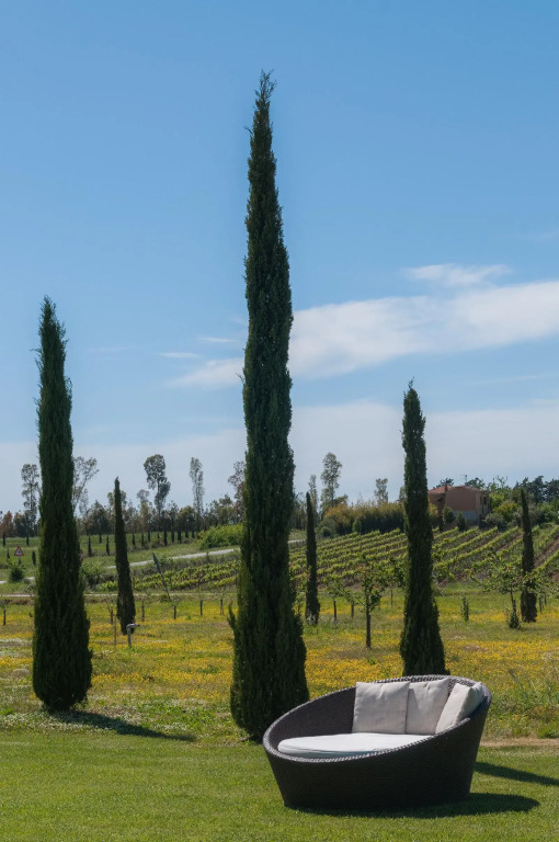 Podere del Priorato