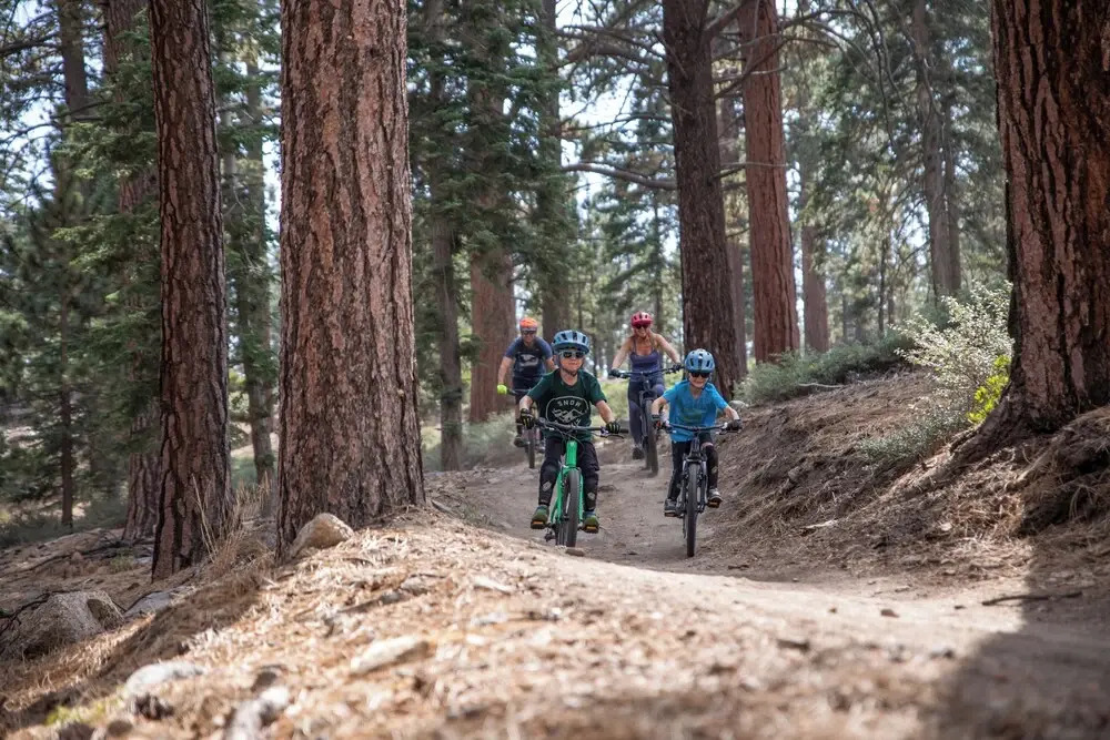 Ski Time Getaway-1848 by Big Bear Vacations
