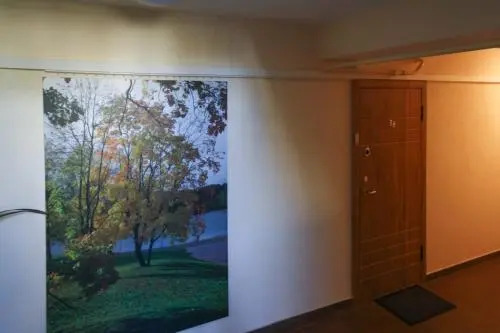 Honey apartment