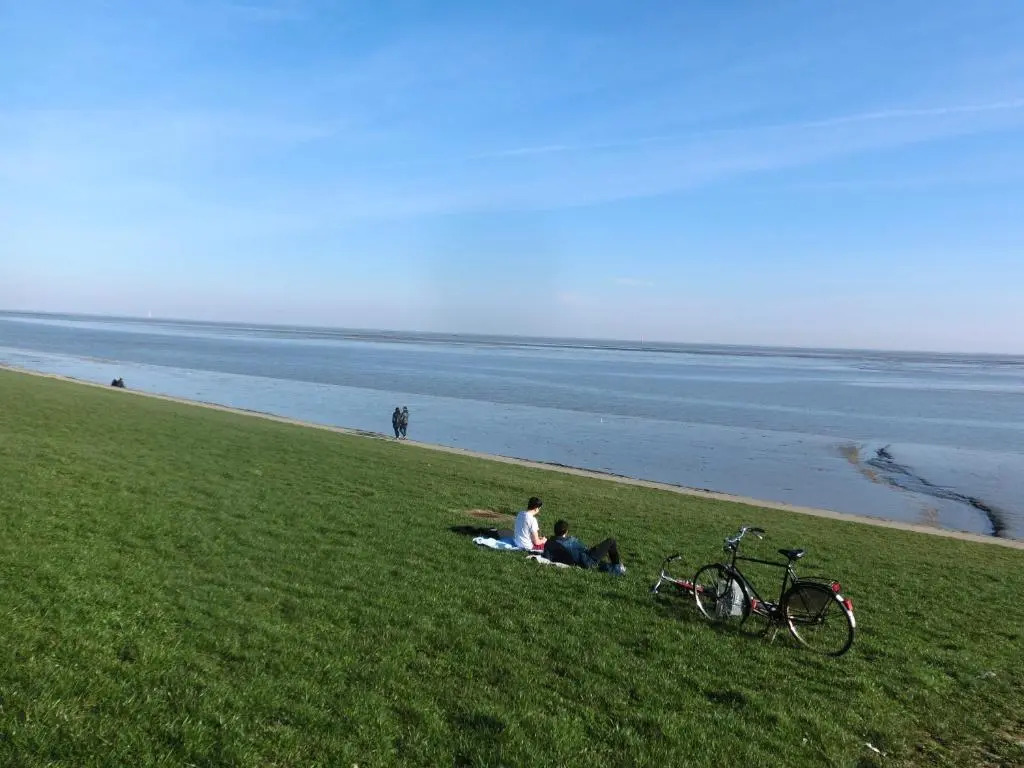 Sonnige Ferienwohnung WHV