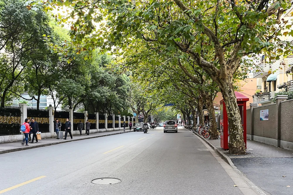 Old French Concession Coziness Changle Road