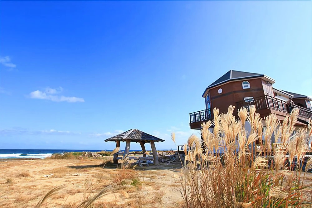 Pohang Daorae Pension