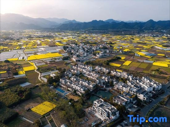 Huangshan Pu Yue He Xuan Homestay