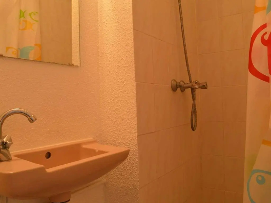 Appartement Saint-Cyprien, 2 pièces, 6 personnes - FR-1-225D-4
