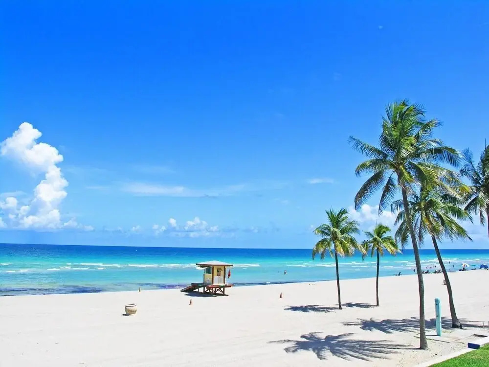 Amazing 1br apartment with pool, Hallandale Beach!