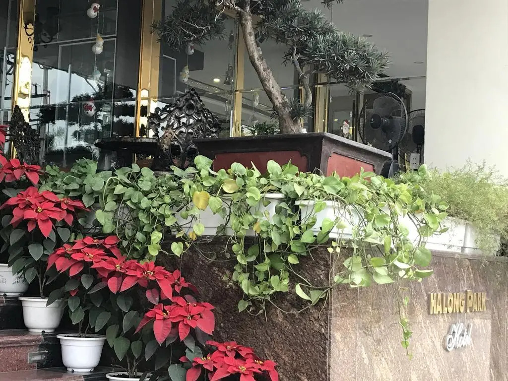 Ha Long Park Hotel