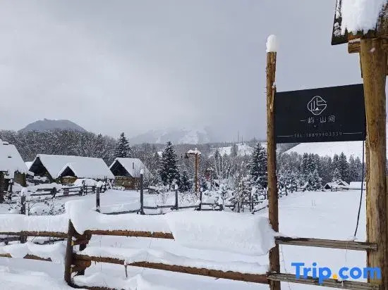 Tongmu Yiyu Shanjian B&B
