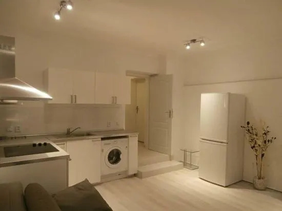 Apartment Mladějovského