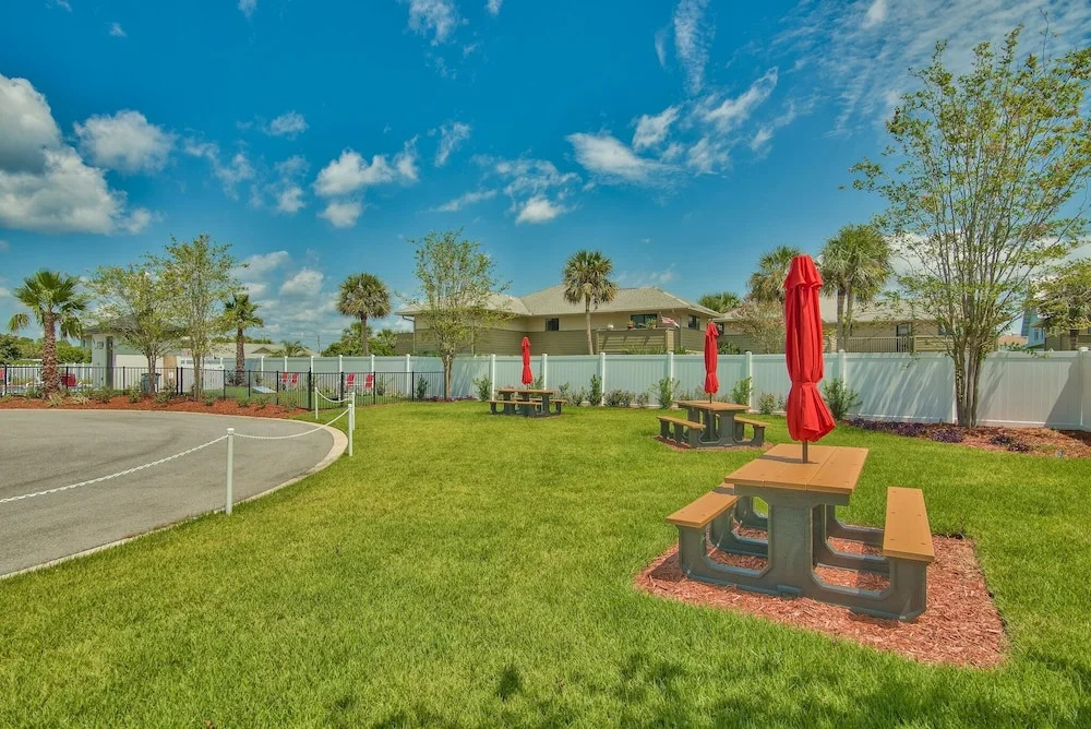 Naut On The Clock NEW Luxury