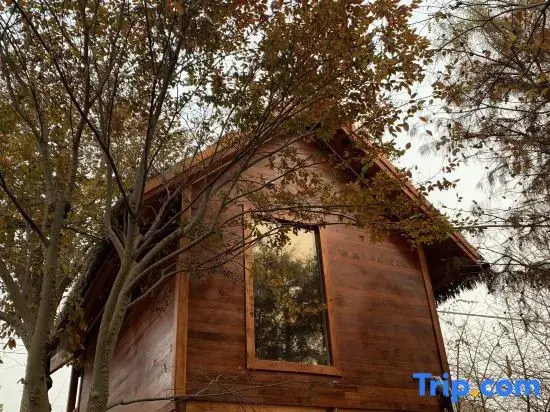 Shanghai Erjia Yi Eco-friendly Homestay