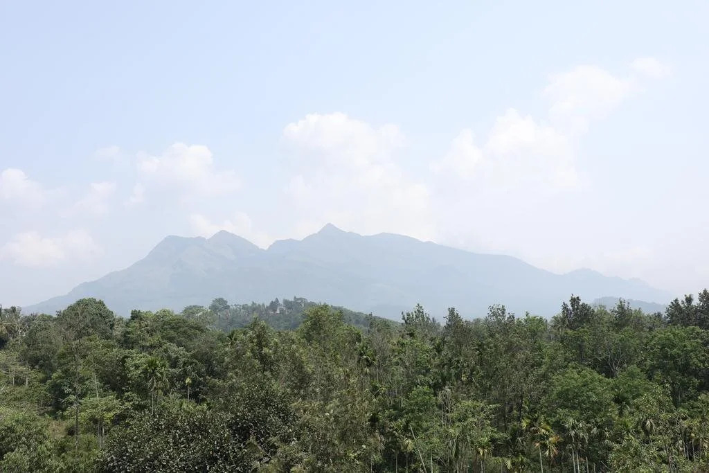 Hotel Soorya Castle