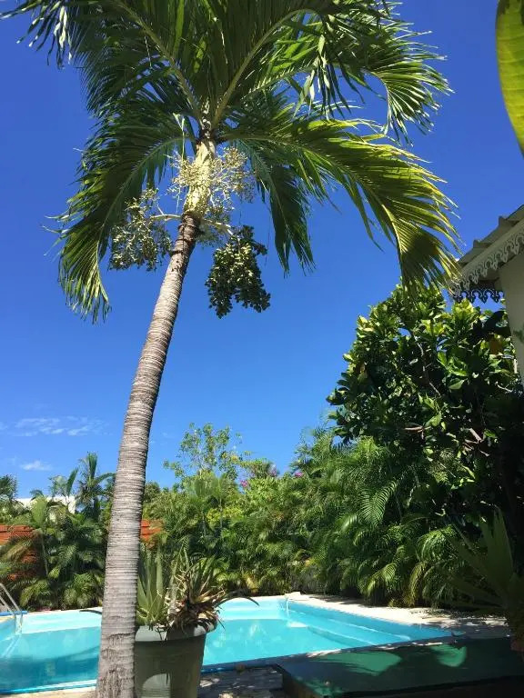 Villa Des palmes - piscine privée au bord du Lagon de la Saline