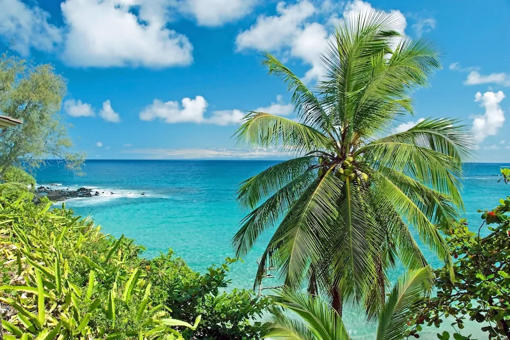 Royal Kahana 618 by RedAwning
