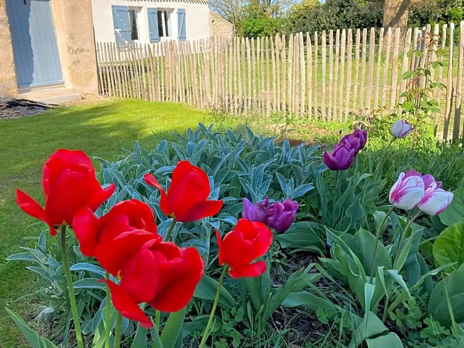 Les Pensions du Joslin