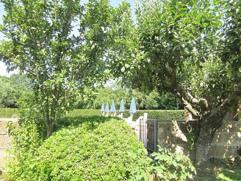 Villa i Noccioli - 18 Sleeps Private Pool