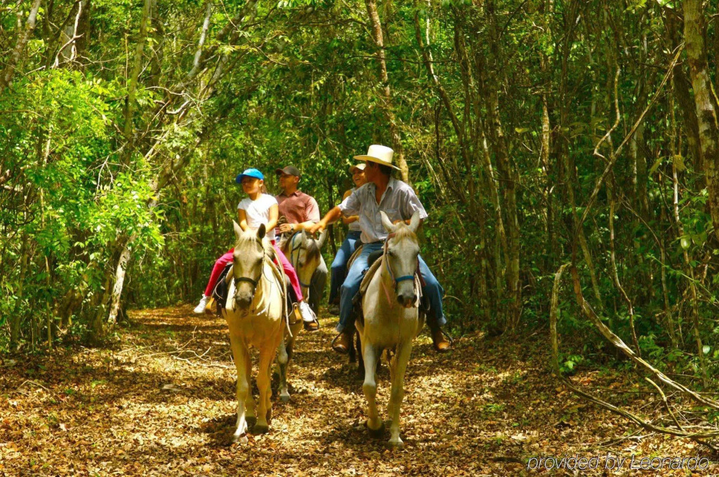Cassia Hill Resort