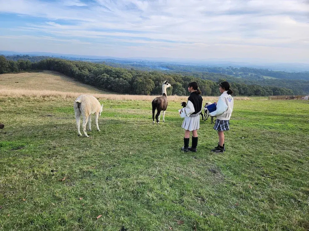 Valley Views BNB