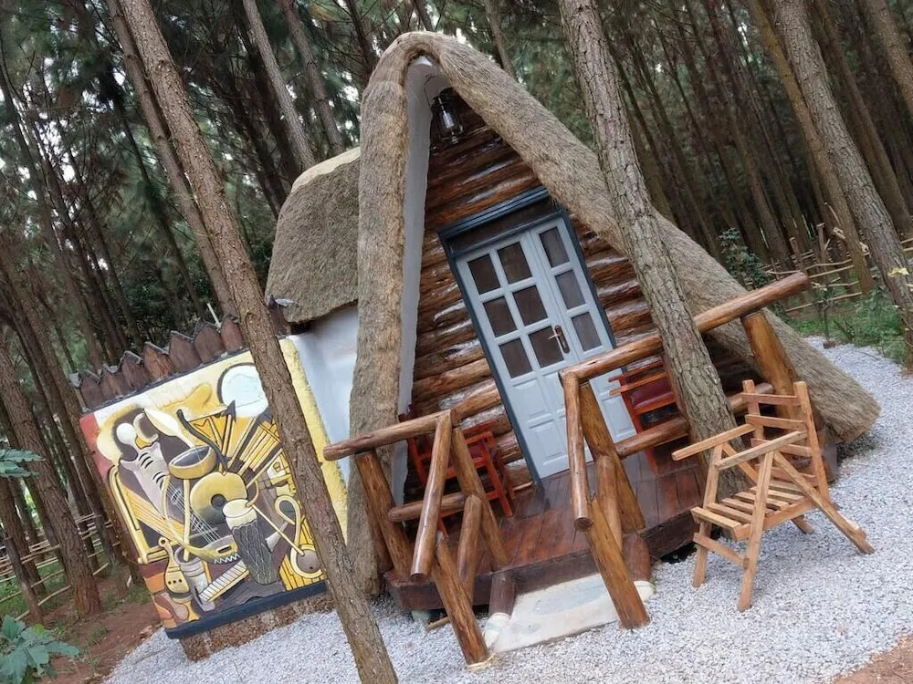 Nyungu Yamawe Forest Park