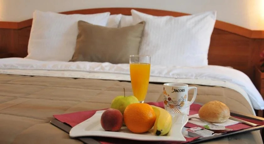 Hotel Terex